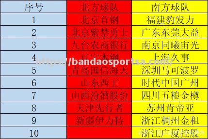 CBA专区独家揭秘球队内幕，揭示球员心路历程_