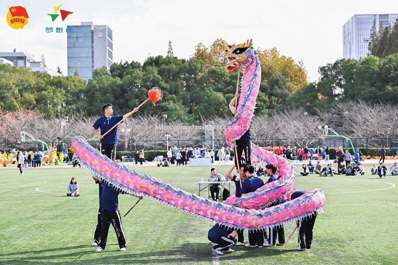 灰狼队员集体努力，追求夺冠梦想